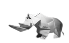 White rhinoceros