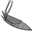 Slug