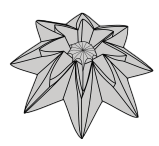 Star anise
