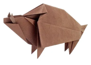 Boar