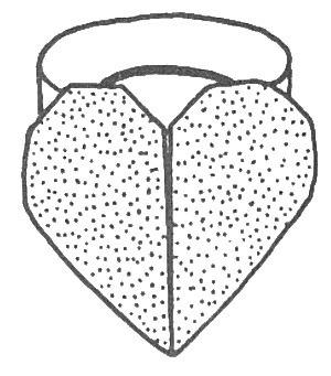 Heart ring