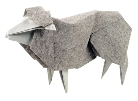 Sheep