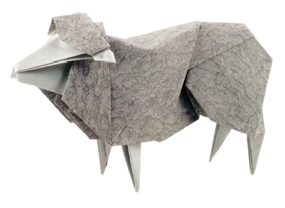 Sheep