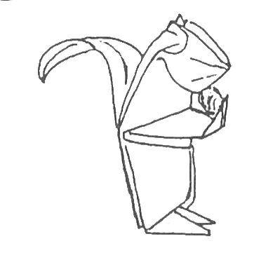 Squirrel