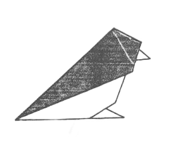 Sparrow