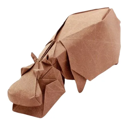 Hippopotamus
