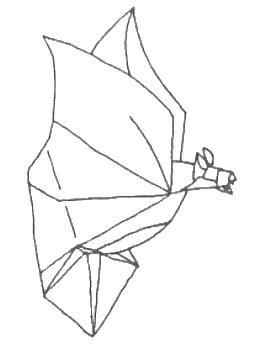 Bat