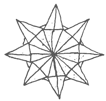 Snap star