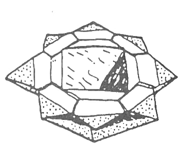 Dish