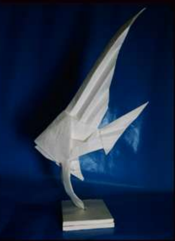 Angelfish
