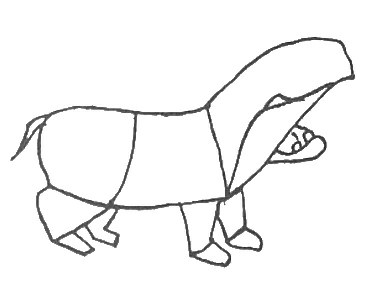 Hippopotamus