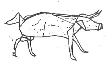 Bull