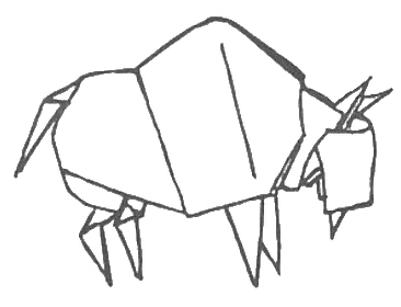 Bison