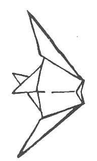 Angelfish