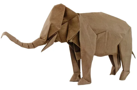 Asiatic elephant