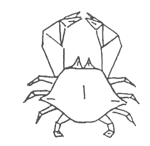Crab - blue