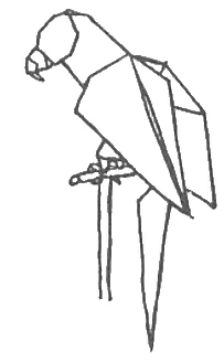 Parrot