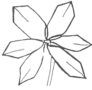 Modular Flower