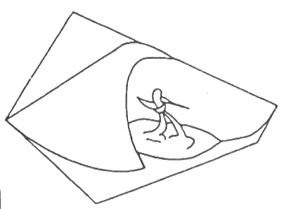 Surfer on a Wave