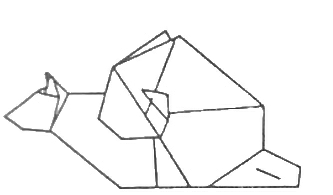 Snail