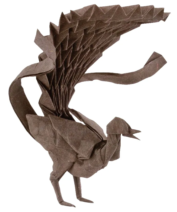 Lyrebird