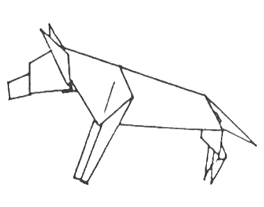 Boxer
