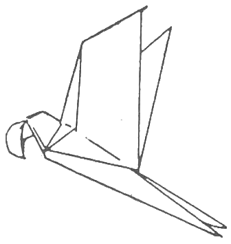 Parrot in Flight