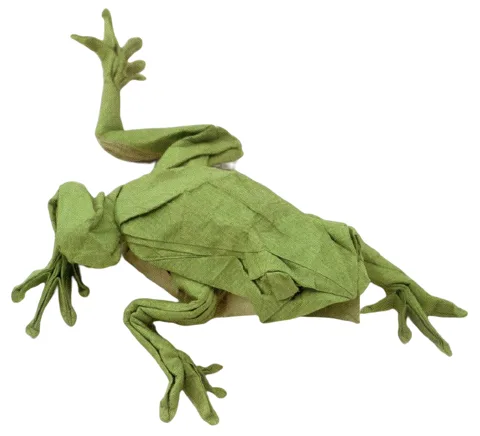 Tree frog