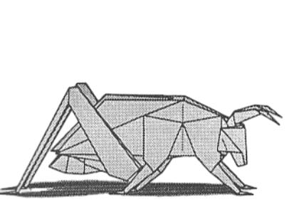 Grasshopper