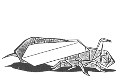 Wasp - paper wasp