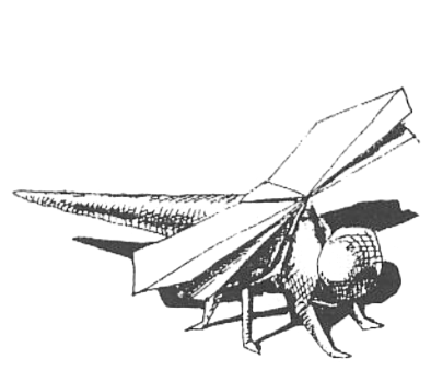 Dragonfly