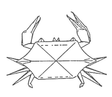 Crab - shore