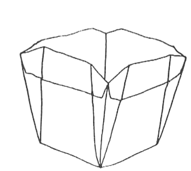 Pot
