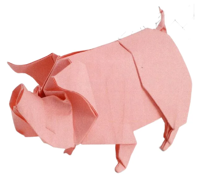 Pig
