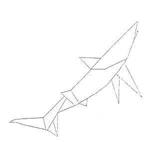 Shark
