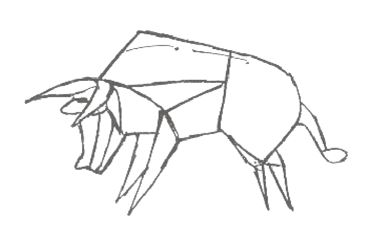 Bull