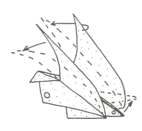 Flapping bird