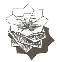 Twist modular