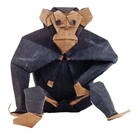 Chimpanzee
