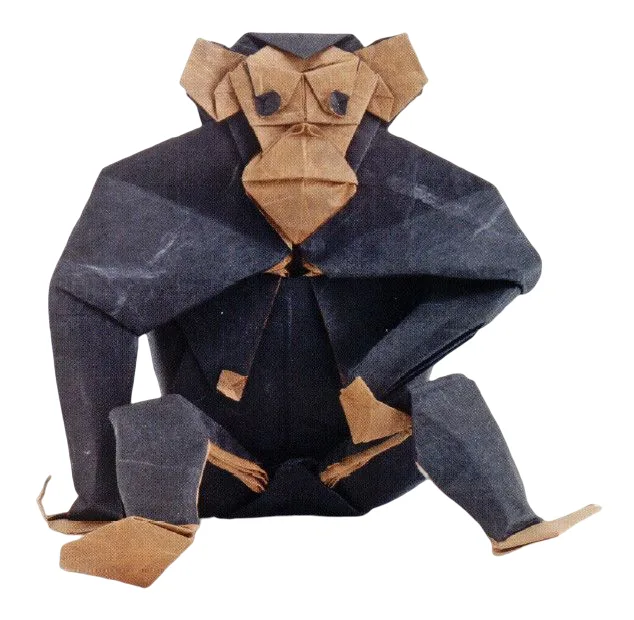 Chimpanzee