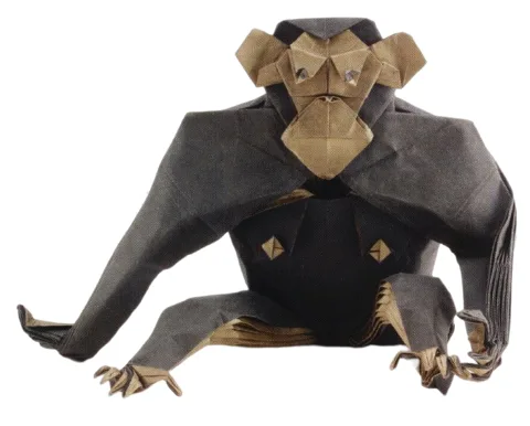 Chimpanzee