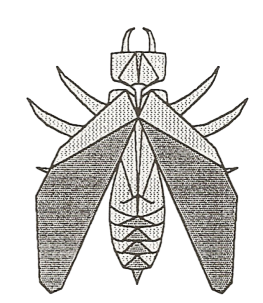 Wasp