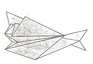 Flying fish
