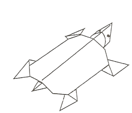 Turtle - greenback