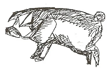 Pig