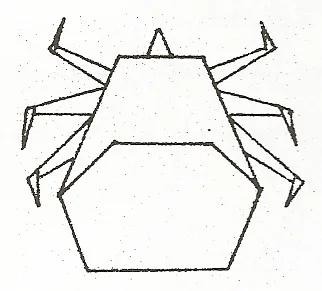 Insect II