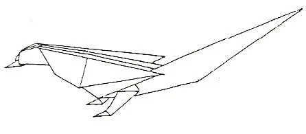 Pheasant