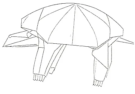 Tortoise