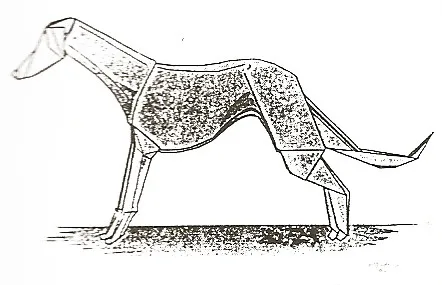 Greyhound