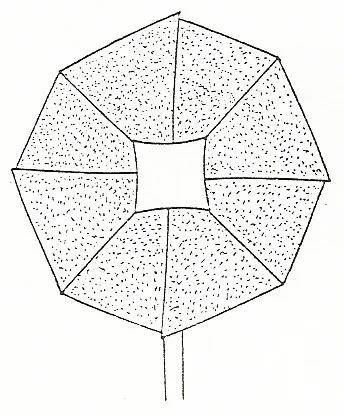 Bell flower